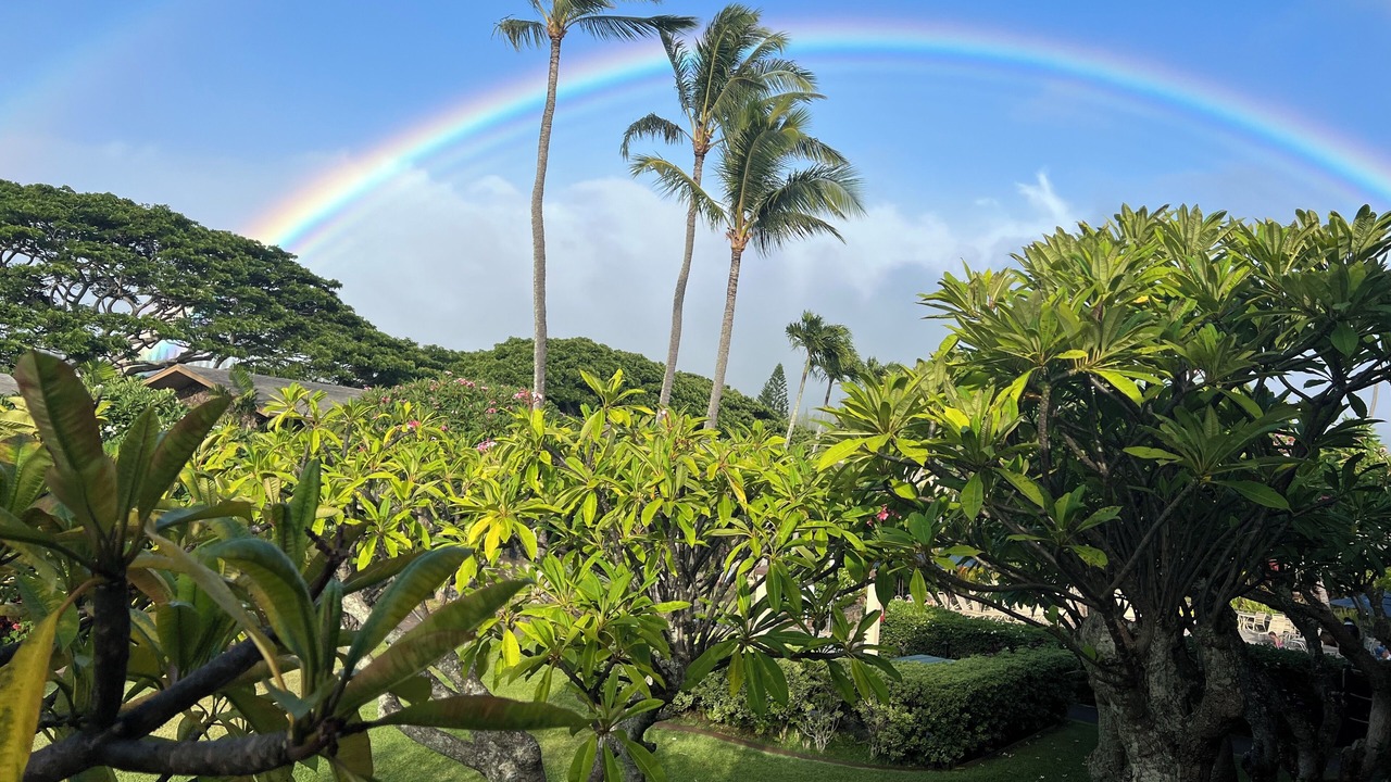 Photo of Outdoor in Napili