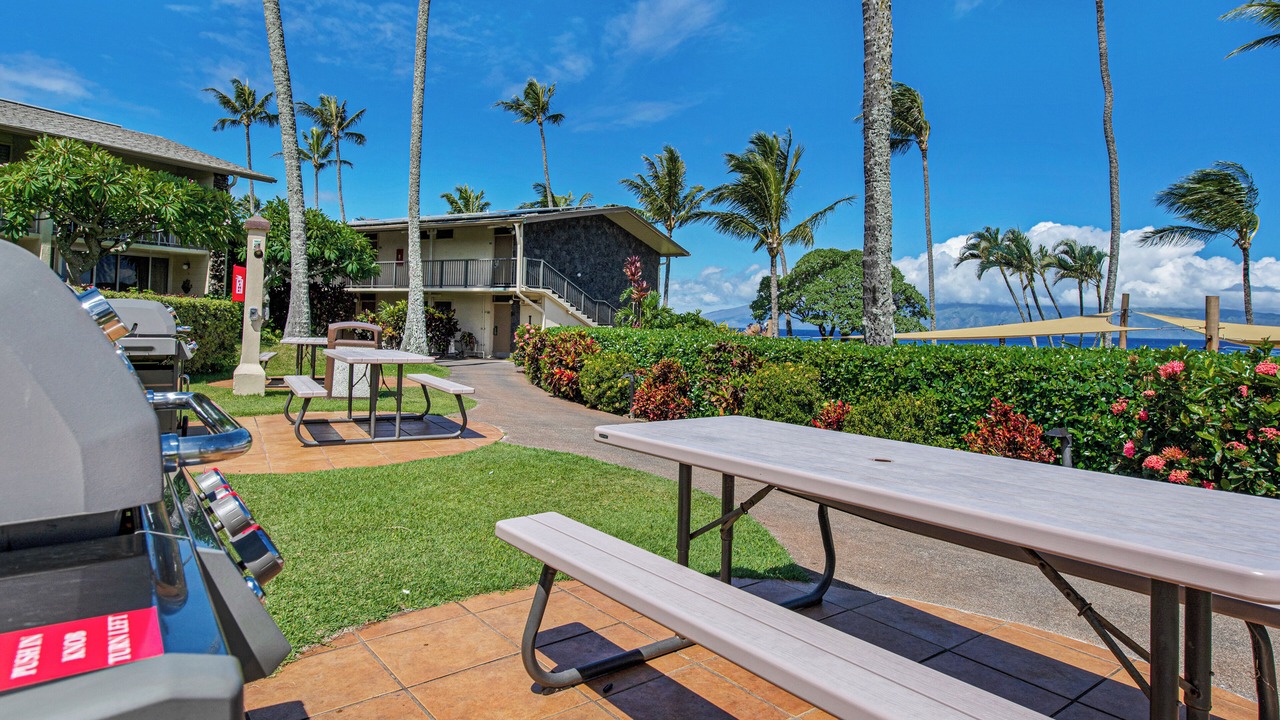 Photo of Outdoor in Napili