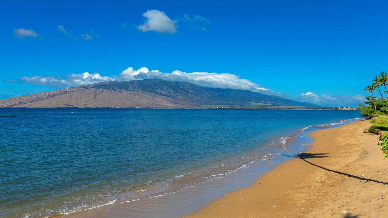 Photo of Others in Kihei