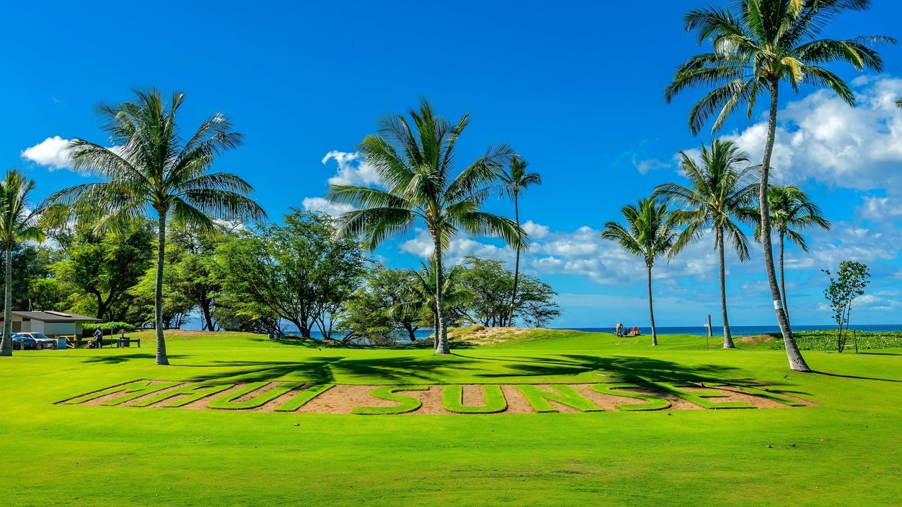 Photo of Others in Kihei
