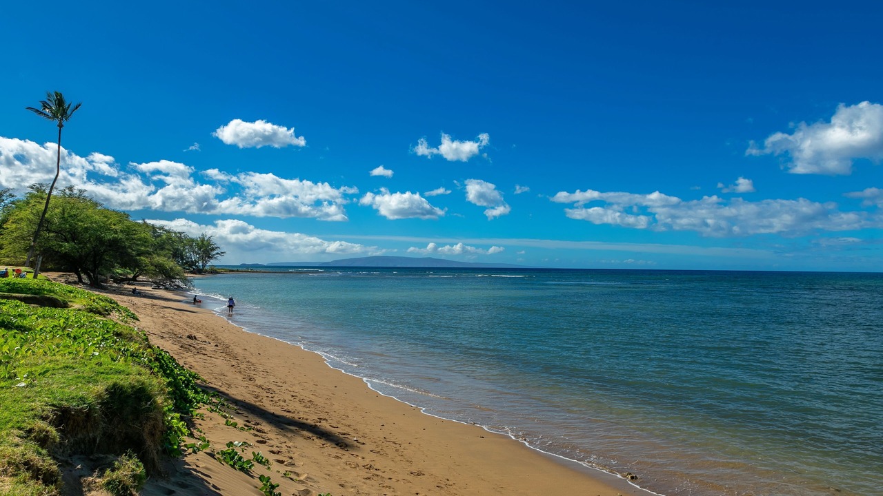 Photo of Others in Kihei