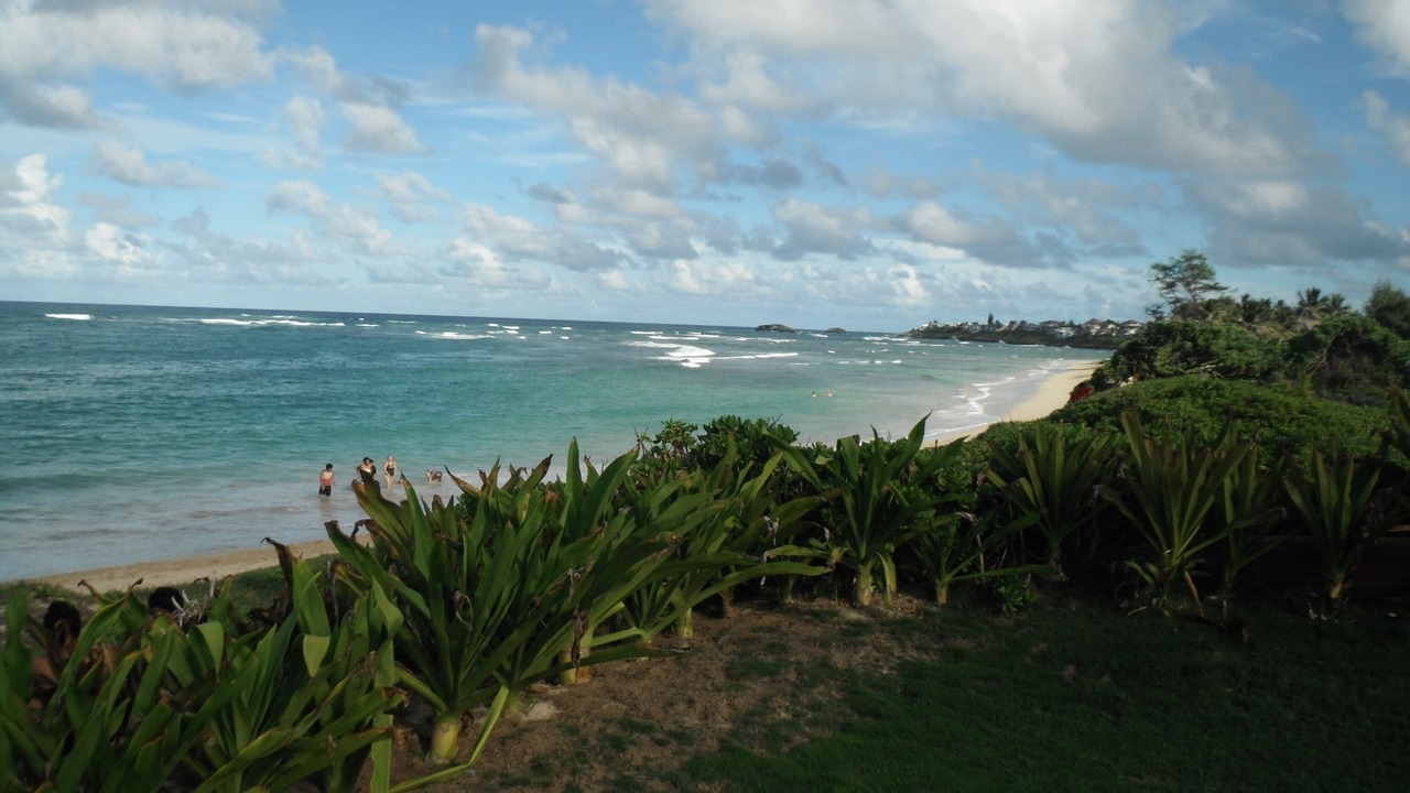 Photo of Others in Laie