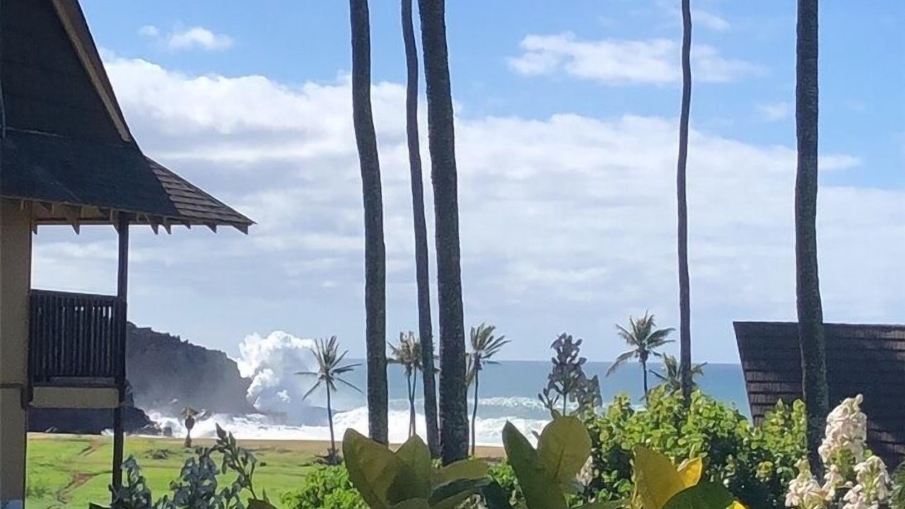 Photo of Others in Maunaloa