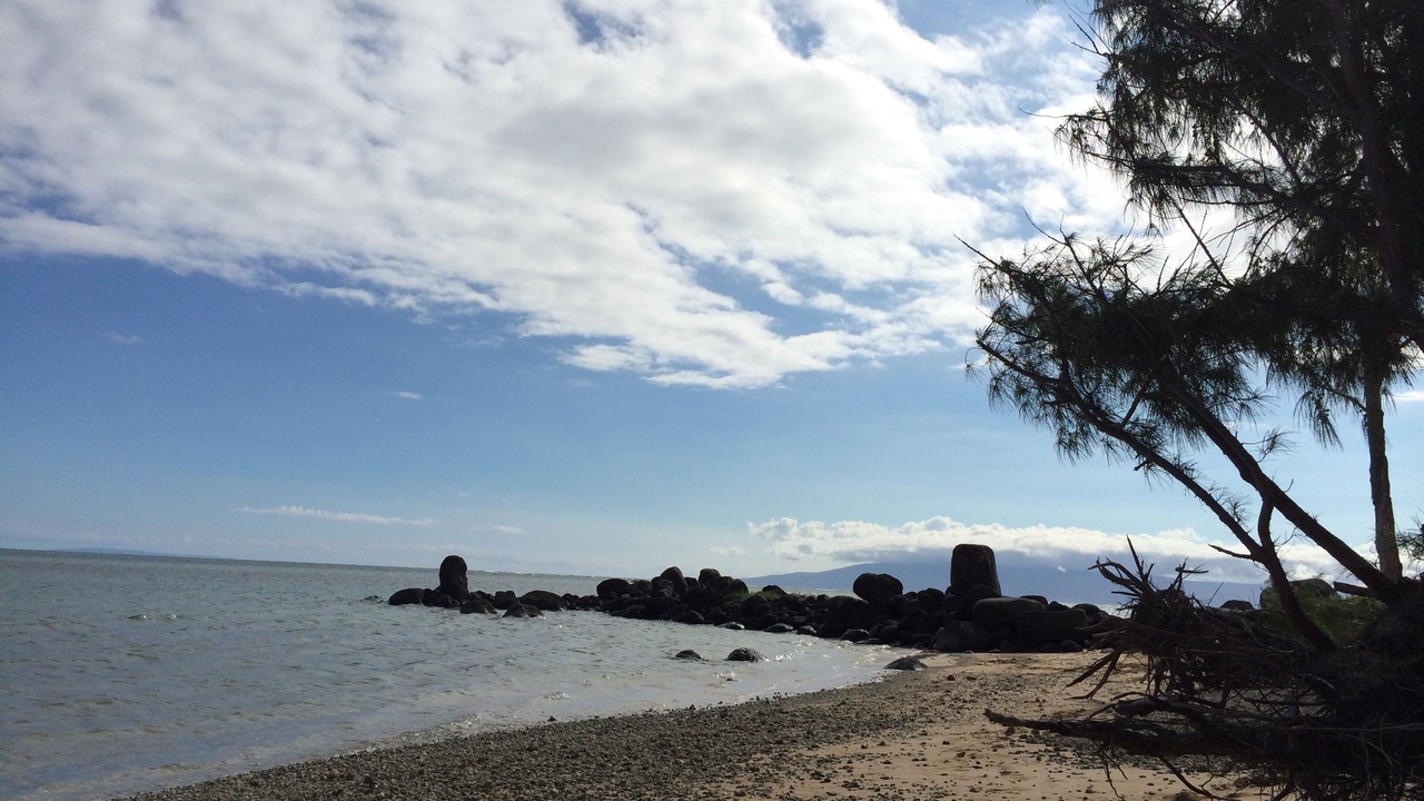 Photo of Others in Maunaloa
