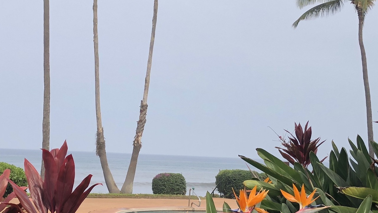 Photo of Others in Maunaloa