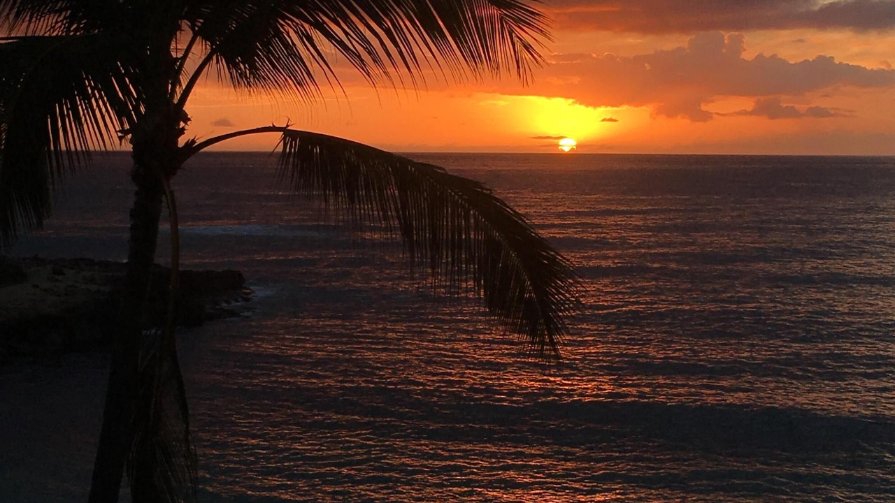 Photo of Others in Makaha