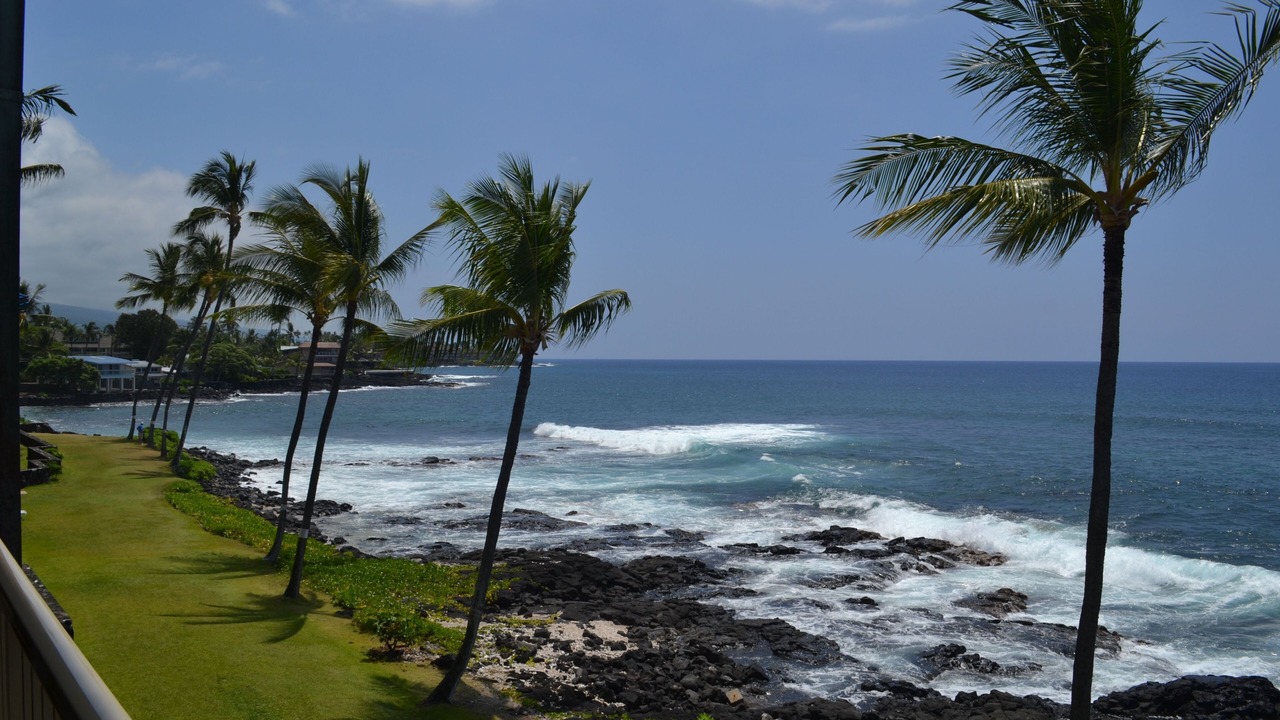 Photo of Others in Historic Kailua Village