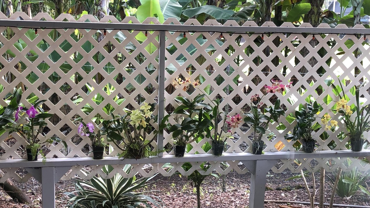 Photo of Others in Keaukaha