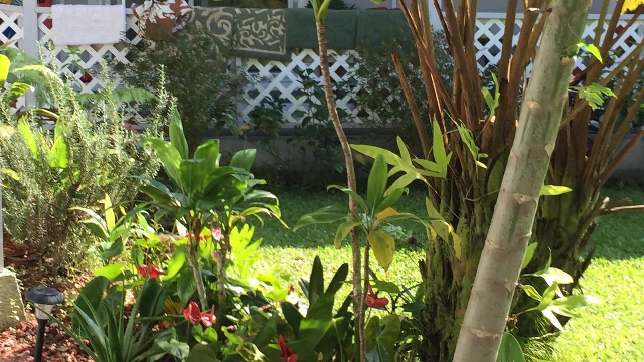 Photo of Outdoor in Keaukaha