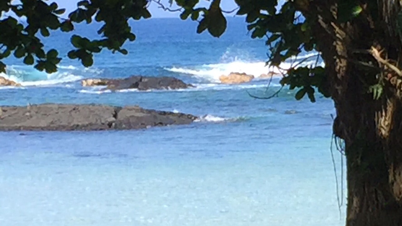 Photo of Others in Keaukaha