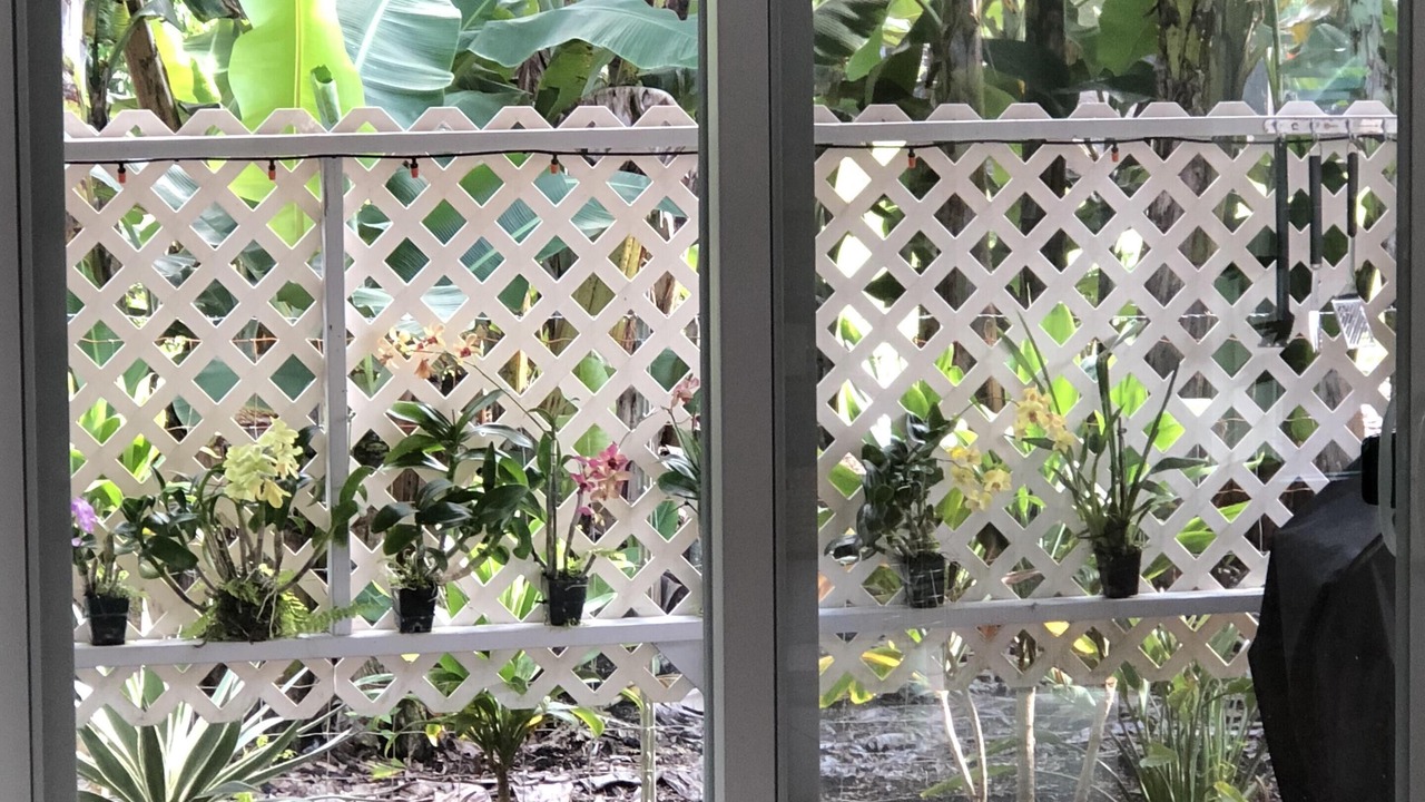 Photo of Others in Keaukaha