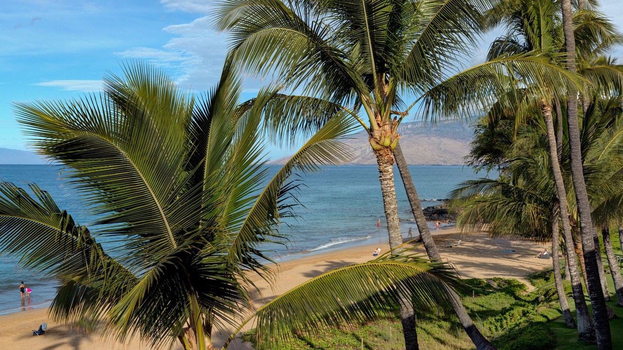 Photo of Others in Kihei