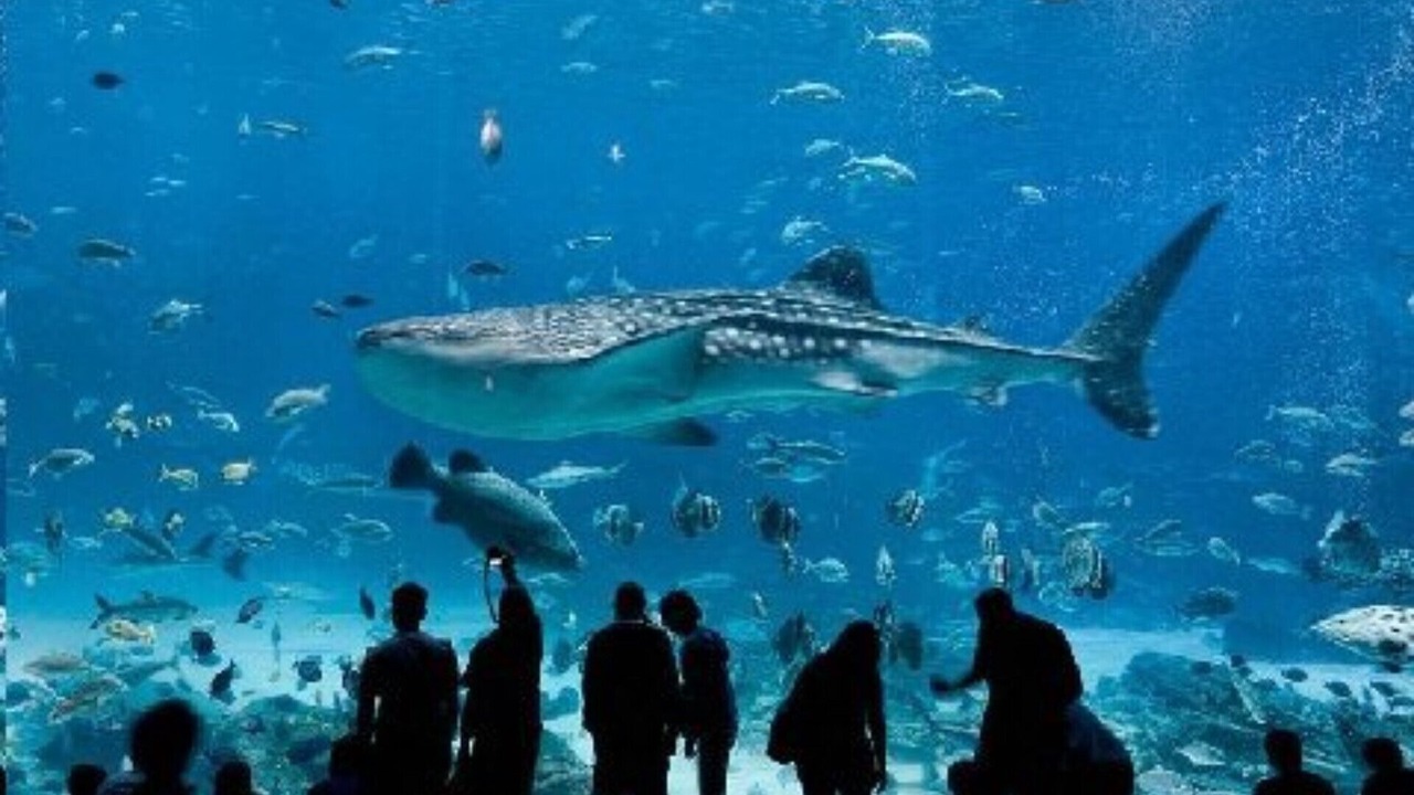 Photo of Others in Clarkston