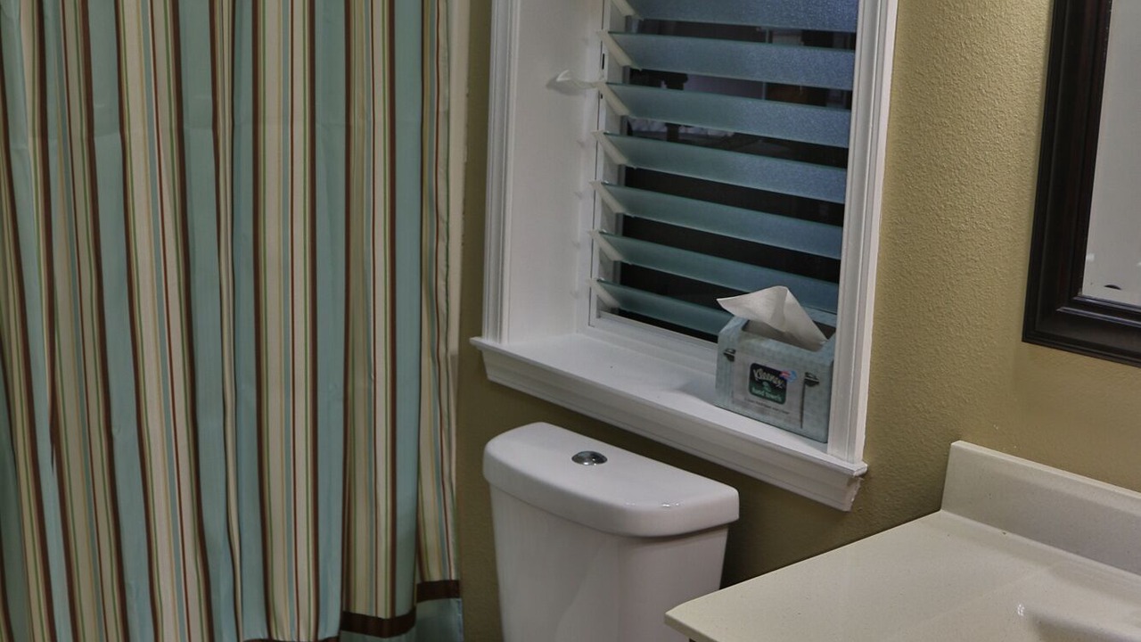 Photo of Bathroom in Kapoho