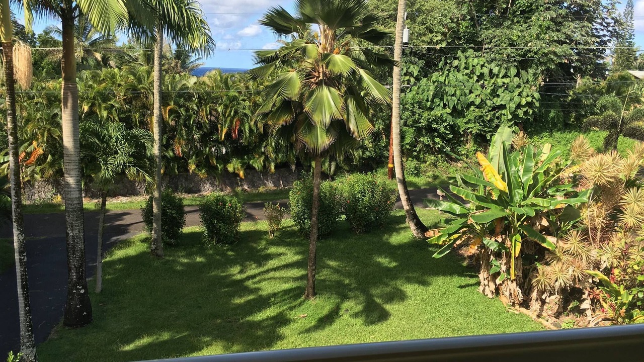 Photo of Others in Kapoho