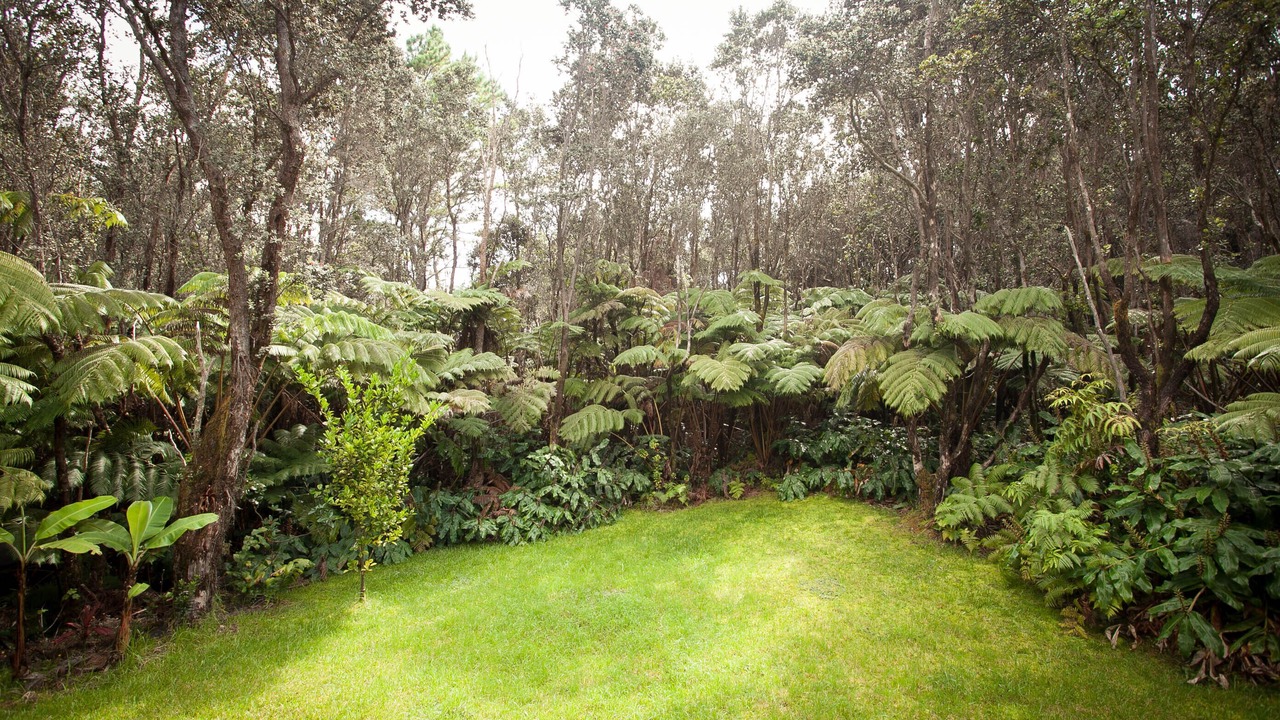 Photo of Outdoor in Volcano