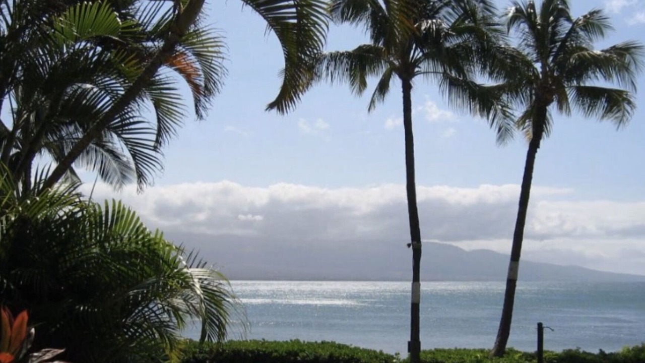 Photo of Others in Maalaea