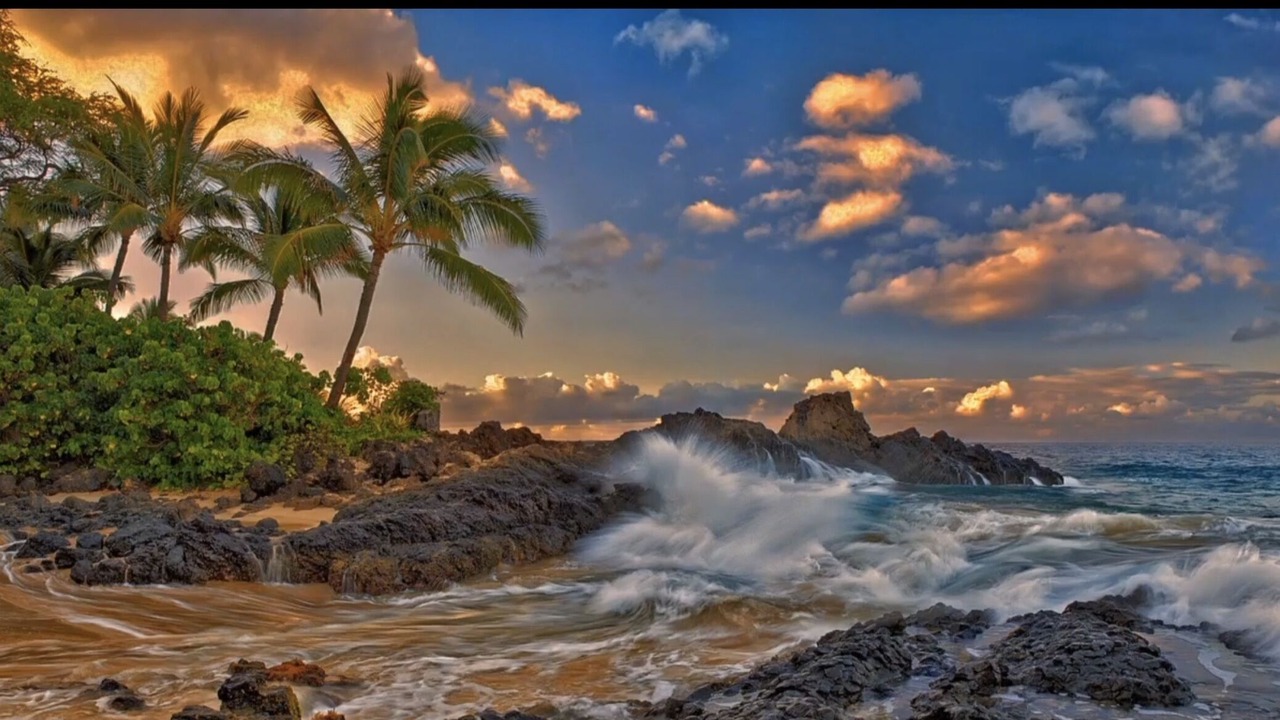 Photo of Others in Maalaea