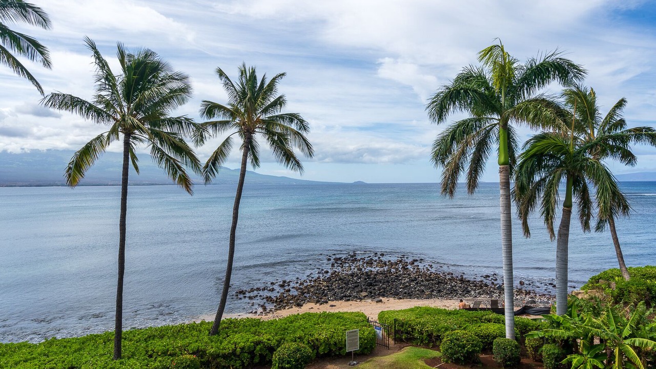 Photo of Others in Maalaea