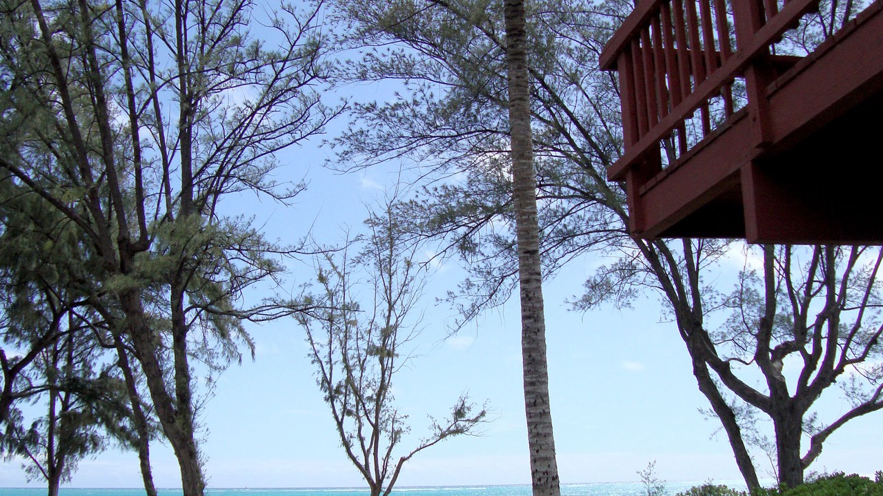 Photo of Others in Waimanalo