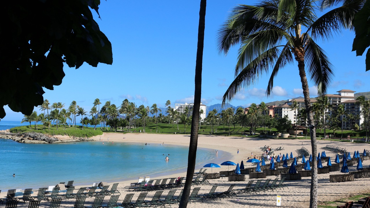 Photo of Others in Ko Olina
