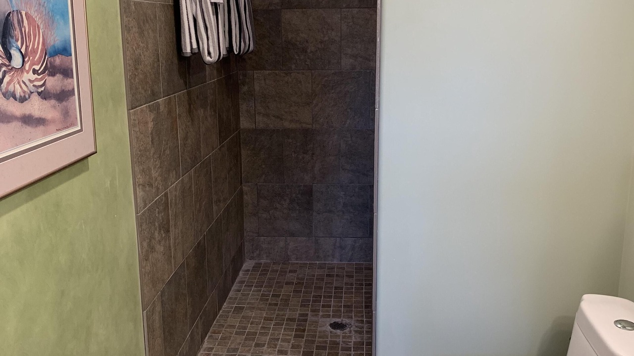 Photo of Bathroom in Holualoa
