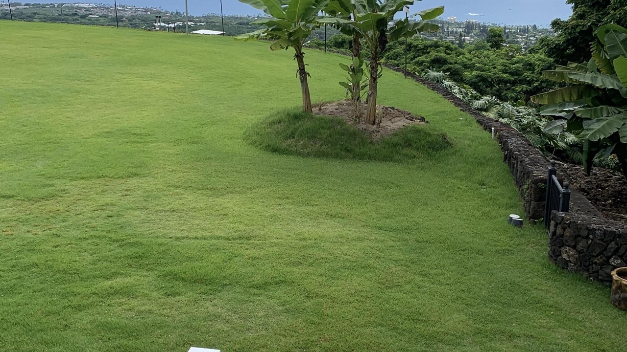 Photo of Others in Holualoa