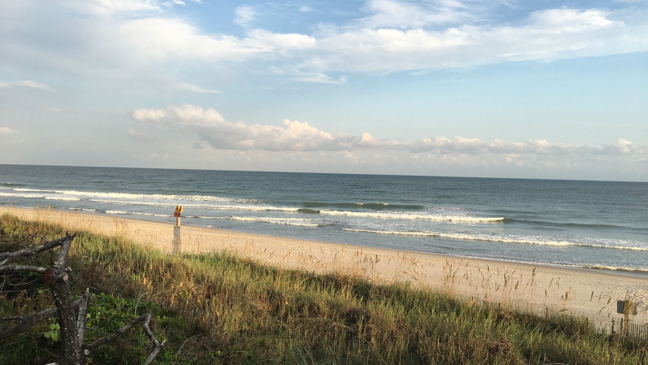 Photo of Others in Pine Knoll Shores