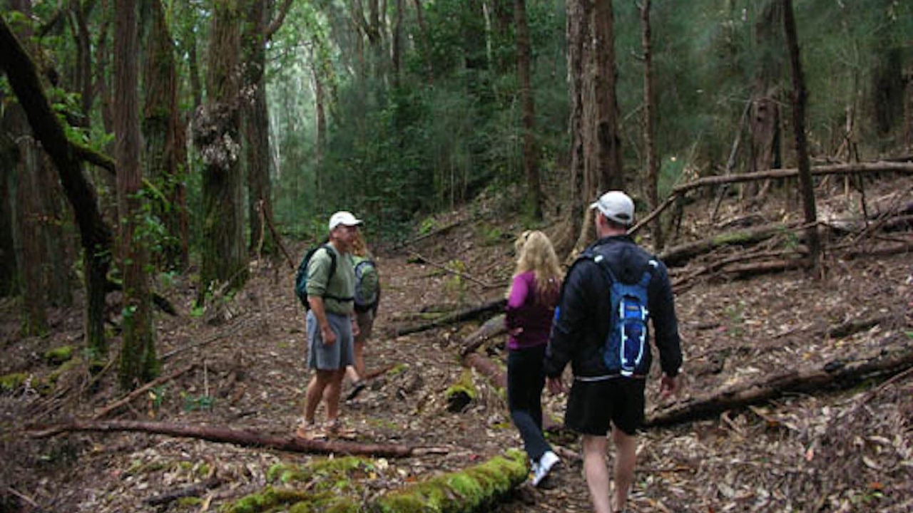 Photo of Outdoor in Maunaloa
