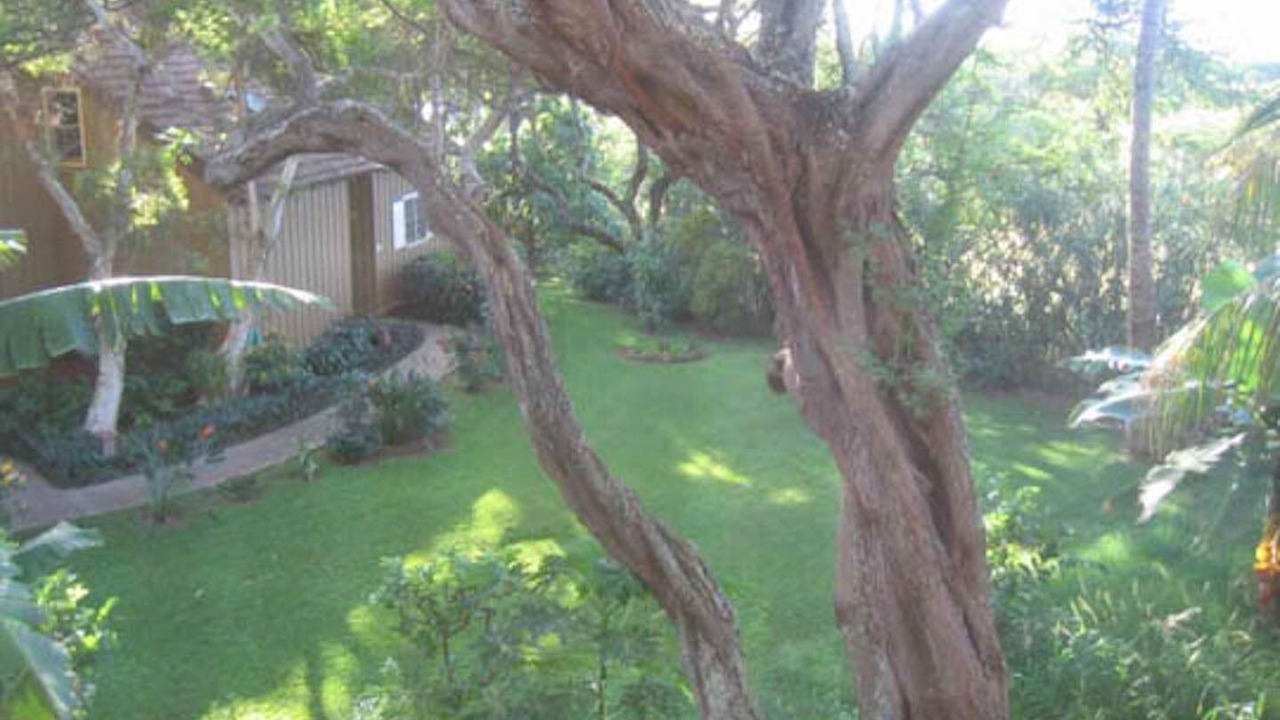 Photo of Others in Maunaloa