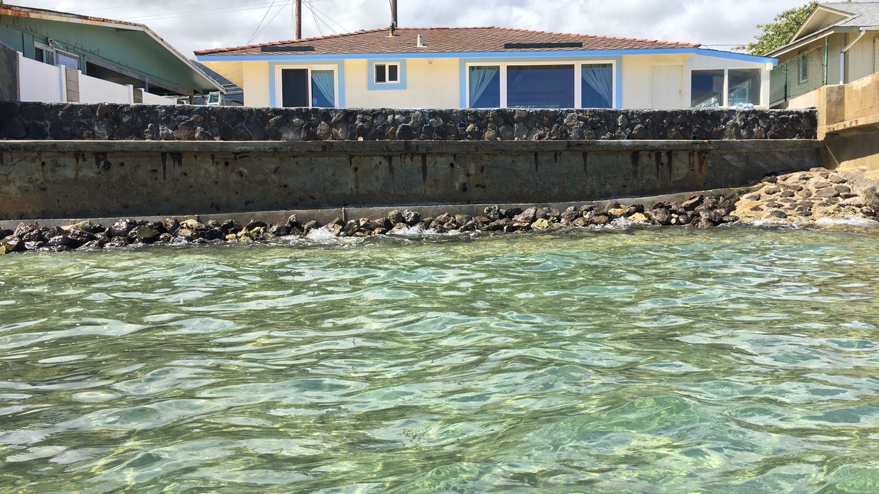 Photo of Others in Hauula