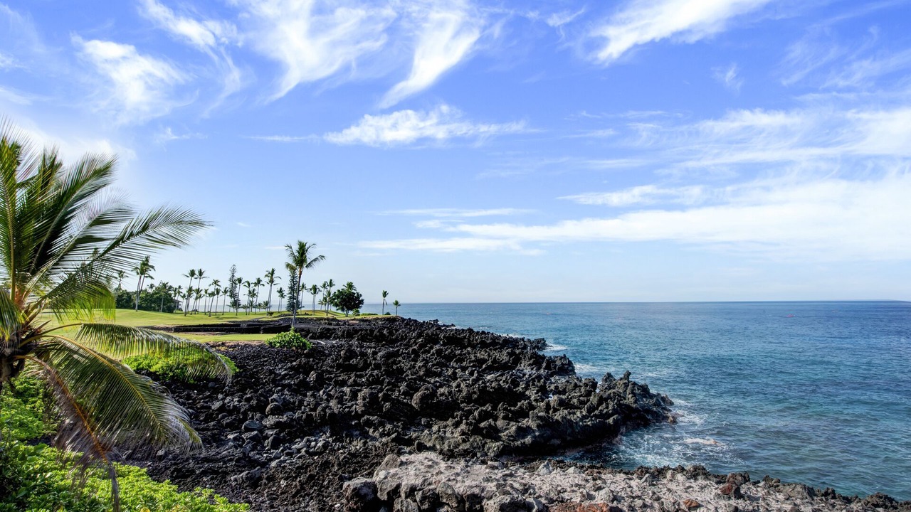 Photo of Others in Kahaluu Bay