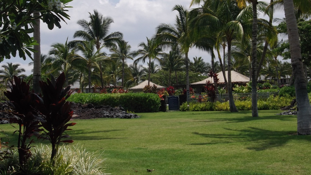 Photo of Outdoor in Kamuela