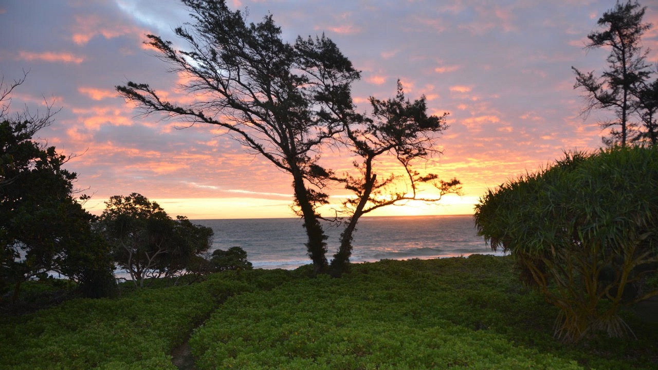 Photo of Others in Kahuku
