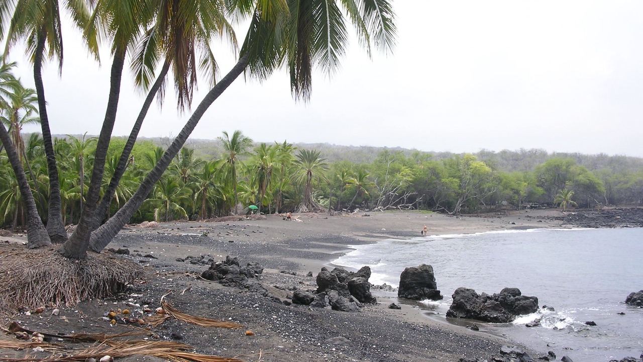 Photo of Others in Captain Cook