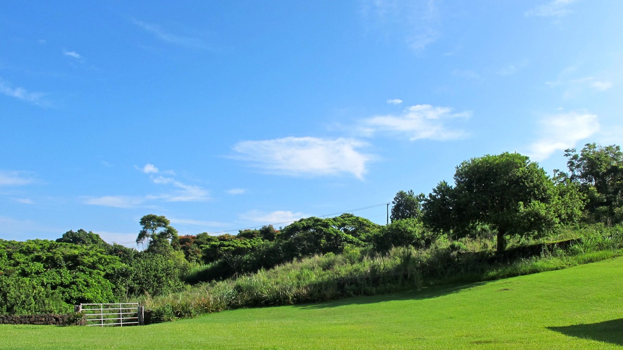 Photo of Outdoor in Holualoa