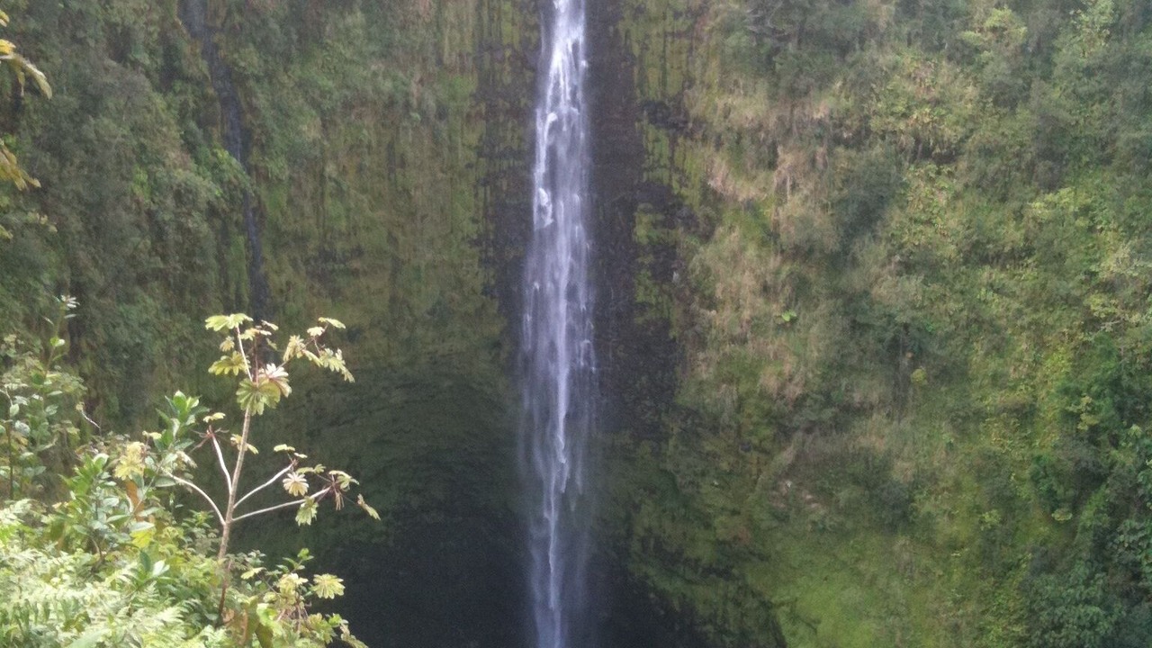 Photo of Outdoor in Punaluu
