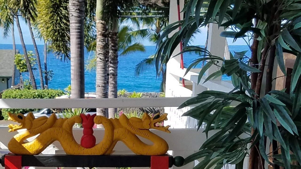 Photo of Others in Kahaluu Bay