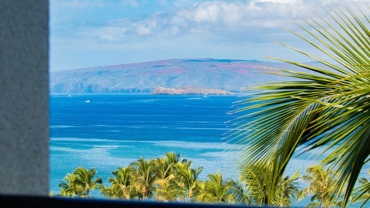 Photo of Others in Wailea