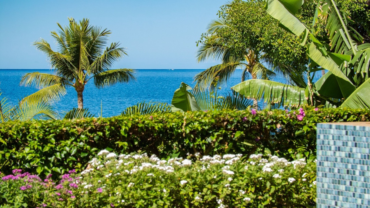 Photo of Outdoor in Wailea