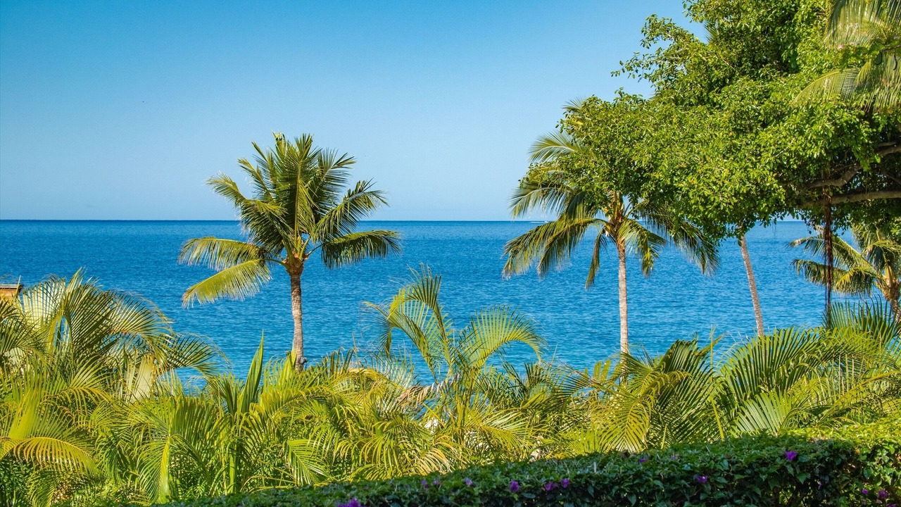 Photo of Outdoor in Wailea