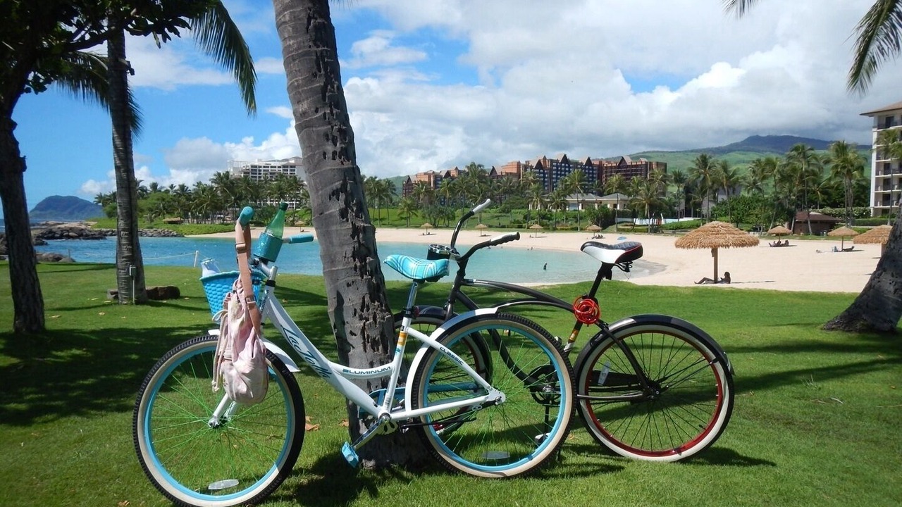 Photo of Others in Ko Olina