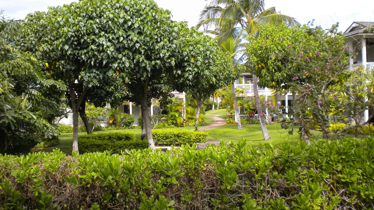 Photo of Others in Ko Olina