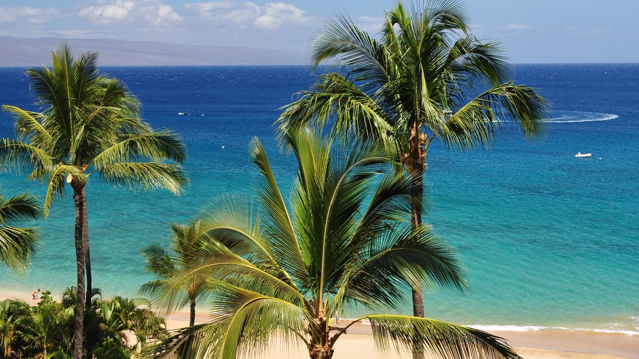 Photo of Others in Kaanapali