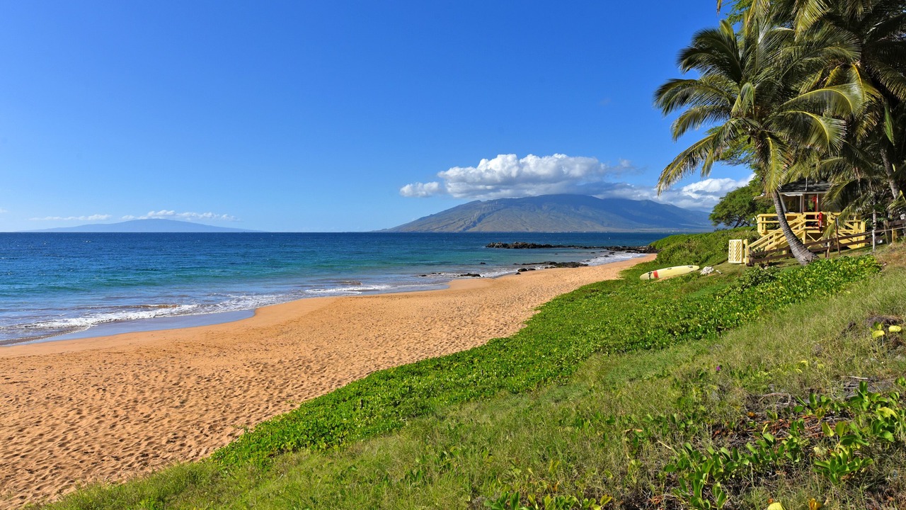 Photo of Others in Kihei