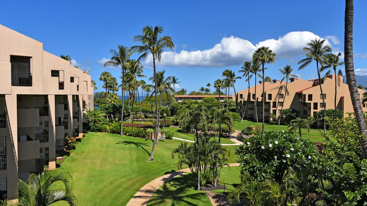 Photo of Others in Kihei