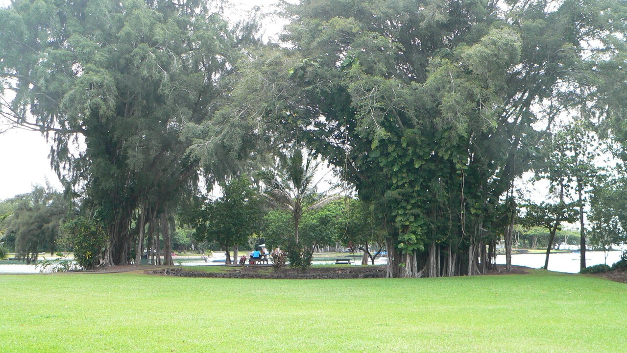 Photo of Others in Keaukaha