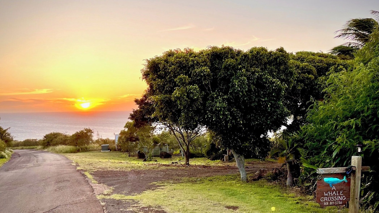 Photo of Others in Hawi