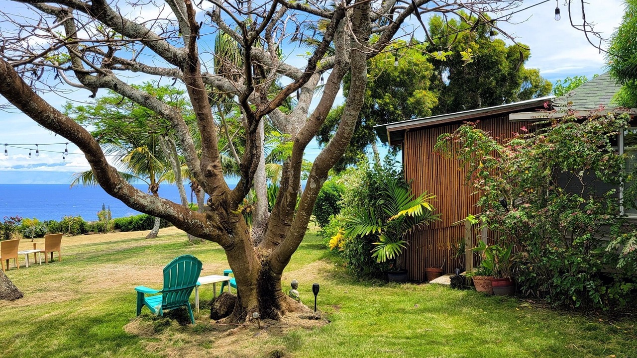 Photo of Patio Balcony in Hawi