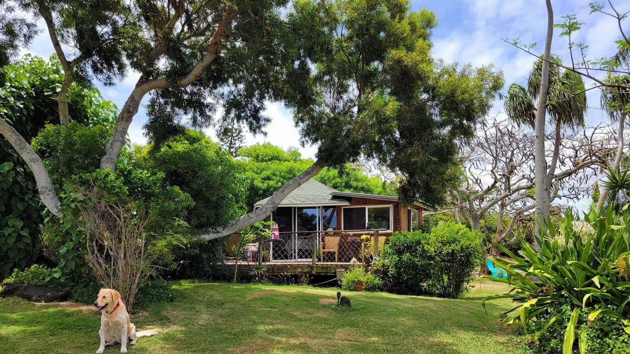 Photo of Outdoor in Hawi
